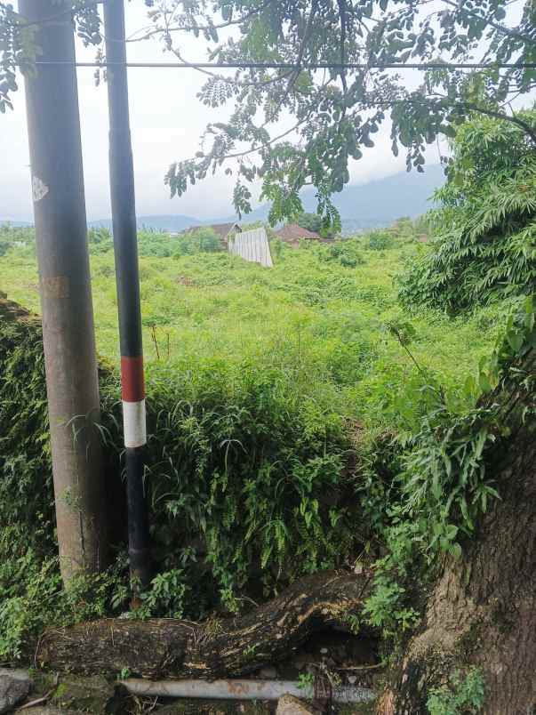 dijual lahan komersil 0 jln raya pandaan