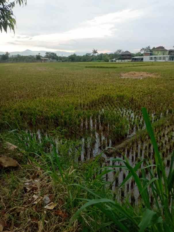 dijual murah bu tanah mainroad gedebage kota bandung