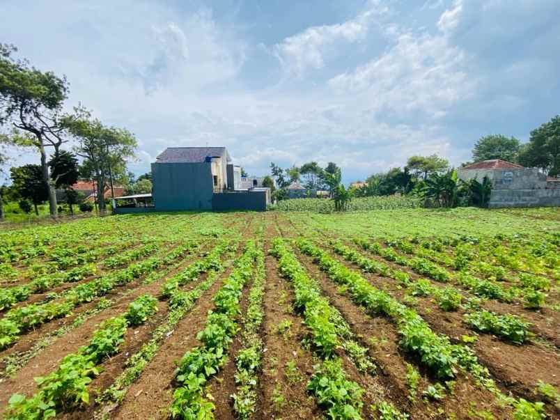 dijual murah kavling di cihanjuang bandung utara