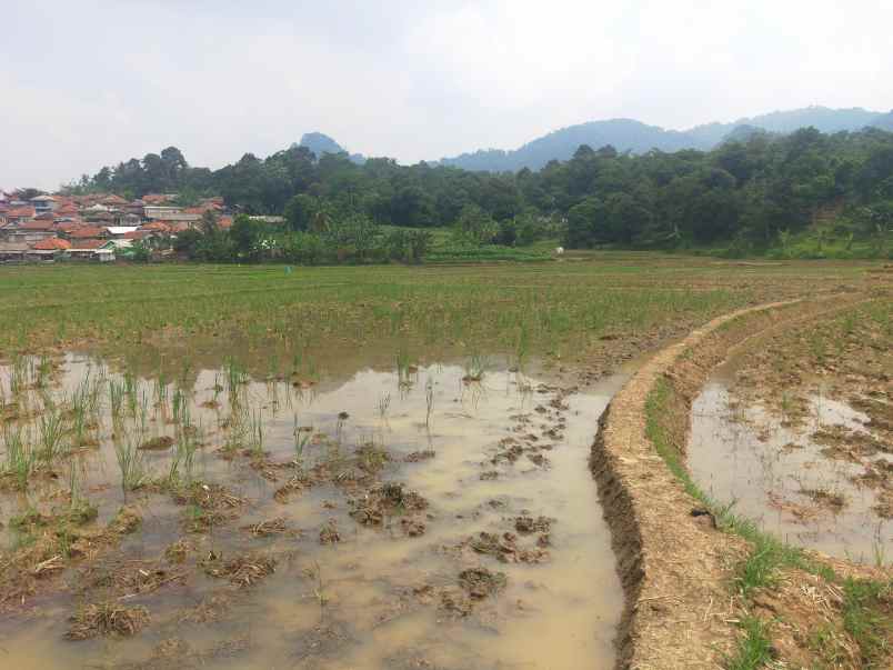 dijual murah tanah 3 2 hektar shm