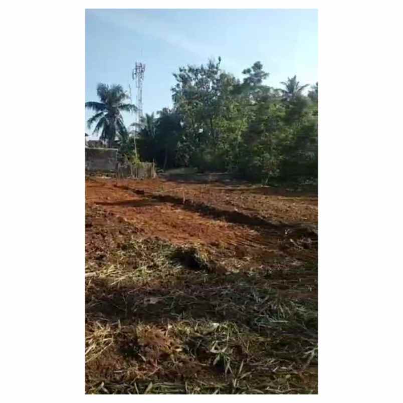 dijual rumah jalan hibrida 6 sidomulyo