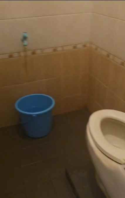 dijual rumah kelapa puyuh kelapa gading