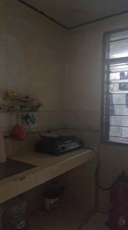 dijual rumah kelapa puyuh kelapa gading