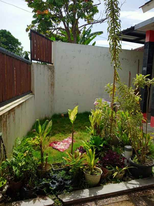 dijual rumah pandowoharjo seman yogyakarta