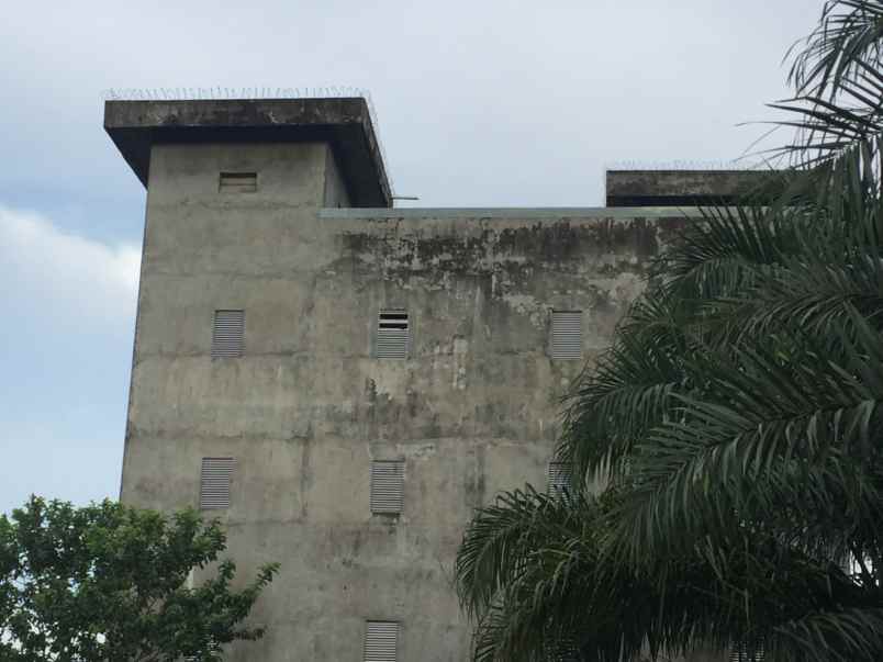 dijual rumah sarang walet