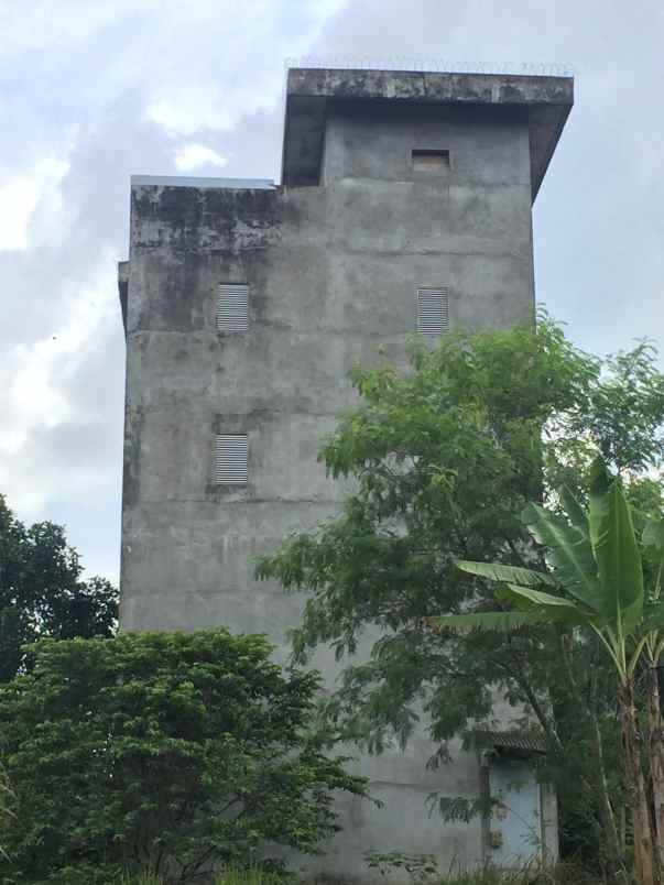 dijual rumah sarang walet