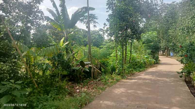 dijual tabah 2 4 ha setu bekasi