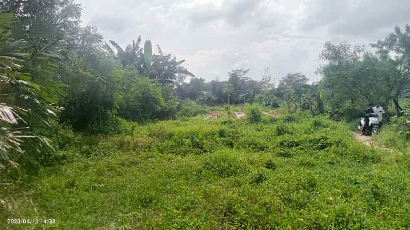 dijual tabah 2 4 ha setu bekasi