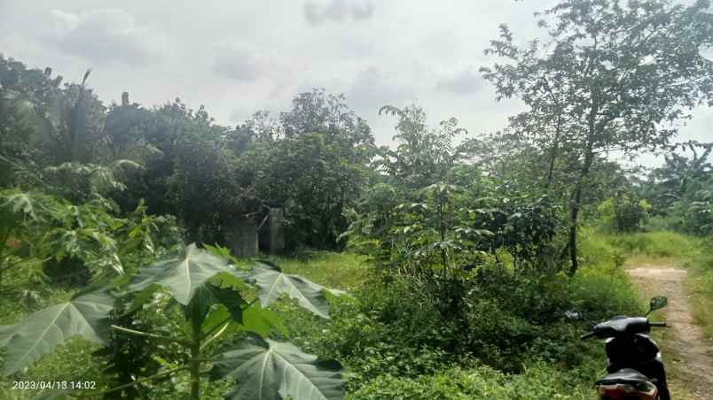 dijual tabah 2 4 ha setu bekasi