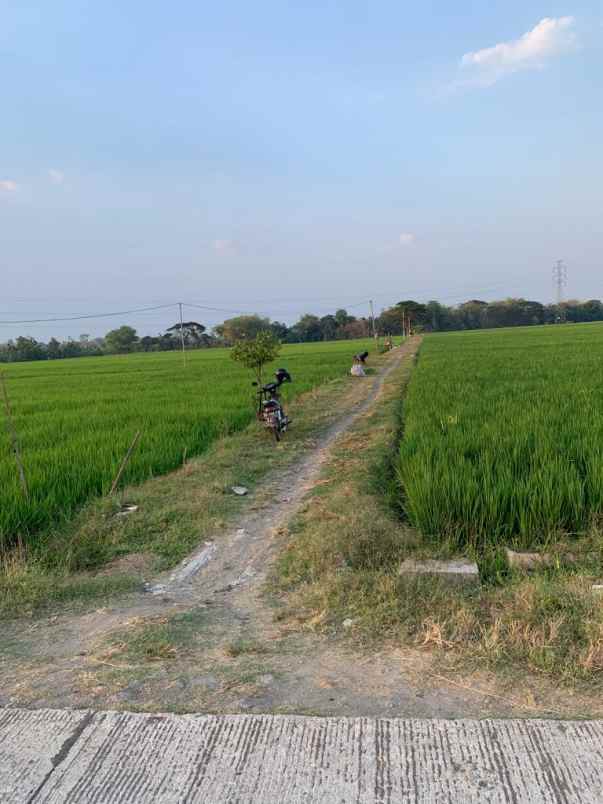 dijual tanah 5 menit ke tol sragen