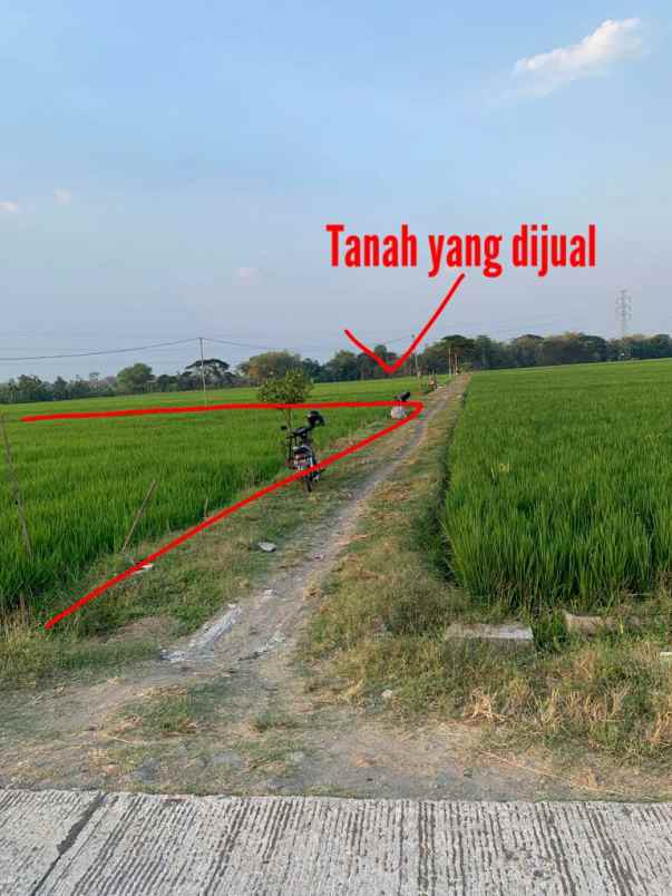 dijual tanah 5 menit ke tol sragen