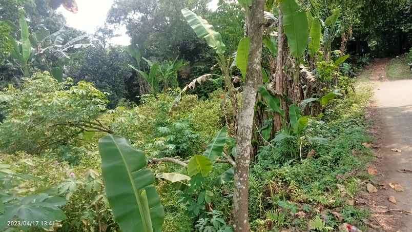 dijual tanah 7000 m2 setu kab bekasi