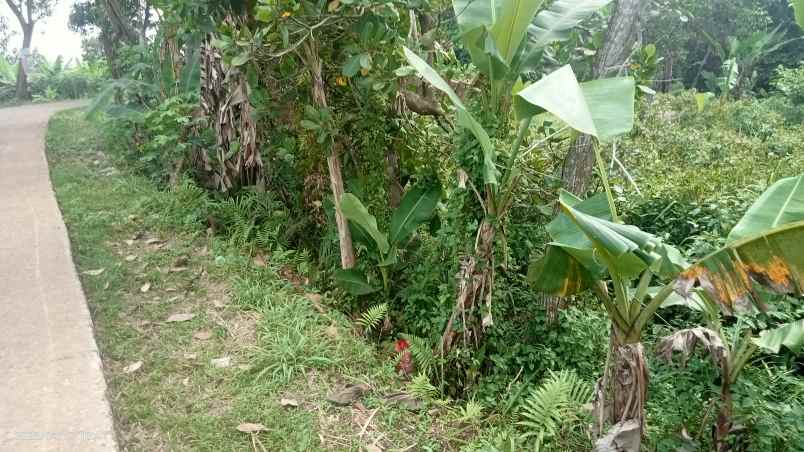 dijual tanah 7000 m2 setu kab bekasi