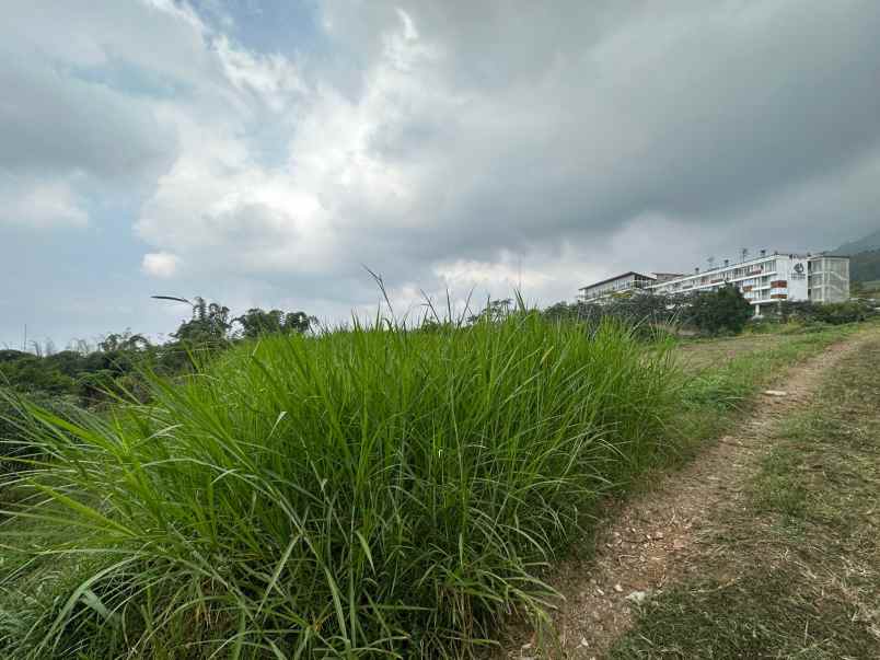 dijual tanah abdul gani atas