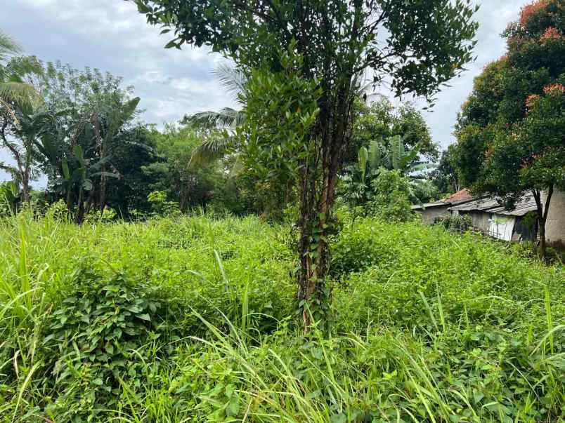 dijual tanah ajb luas 211 di parung panjang bogor