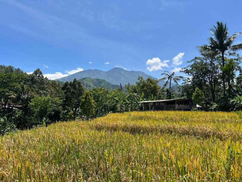 dijual tanah balong jatiyoso karanganyar