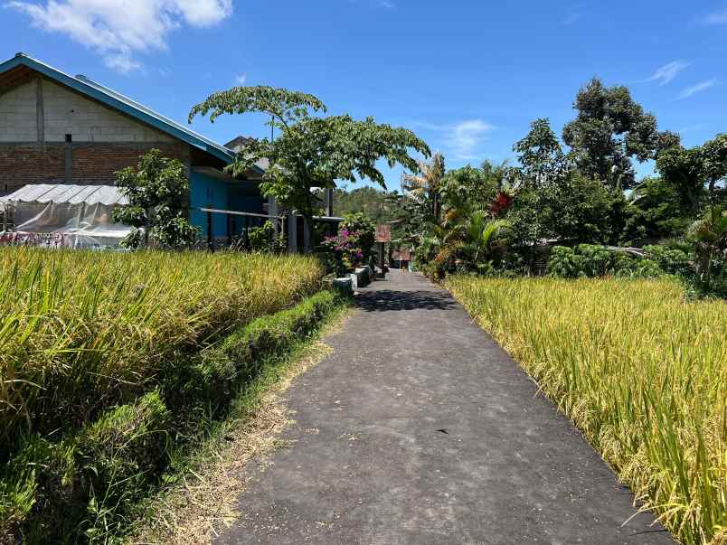 dijual tanah balong jatiyoso karanganyar