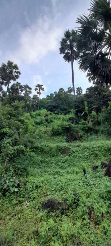 dijual tanah banjar dinas suci