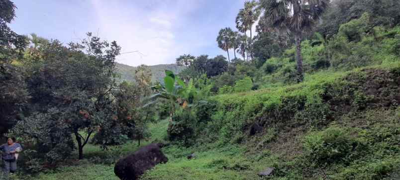 dijual tanah banjar dinas suci