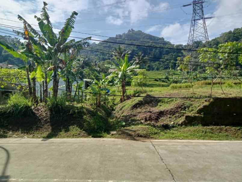 dijual tanah cicangkang girang