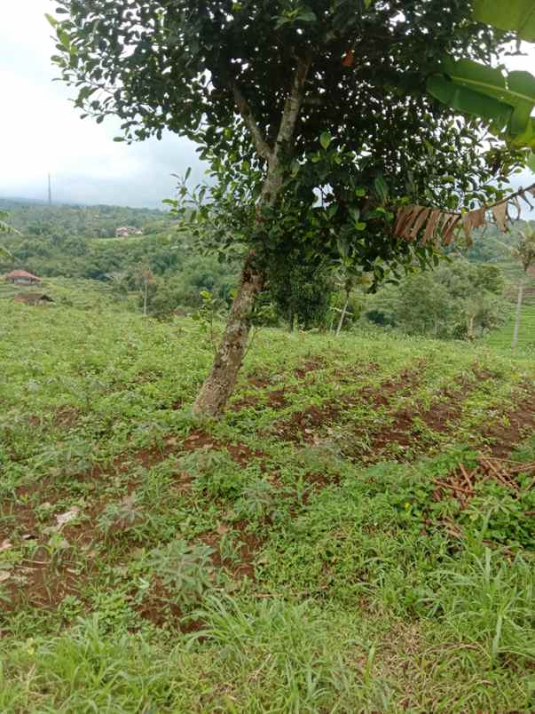 dijual tanah cikubang tanjungsari