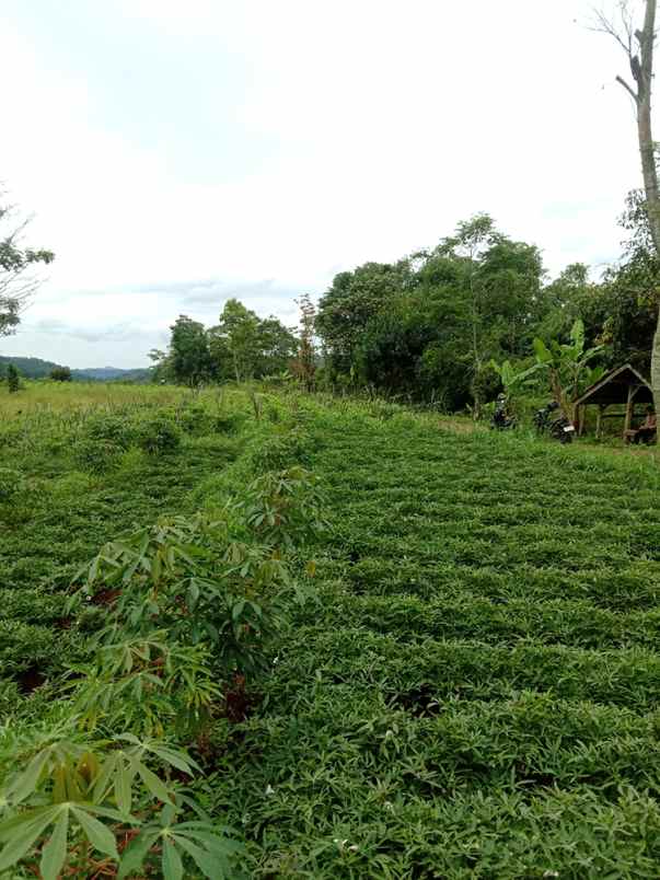 dijual tanah cikubang tanjungsari