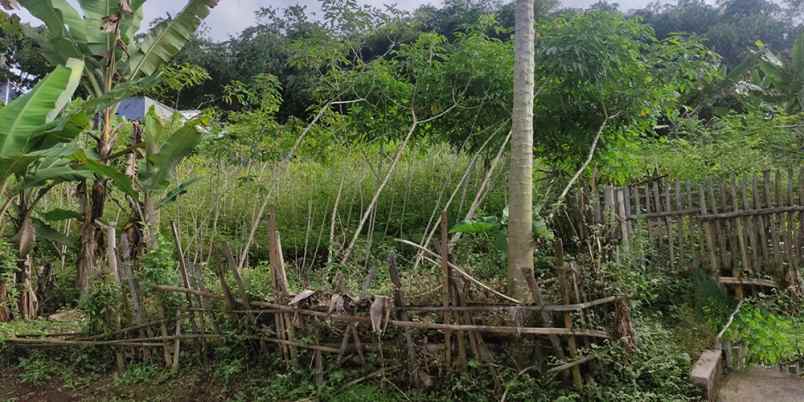 dijual tanah cileles