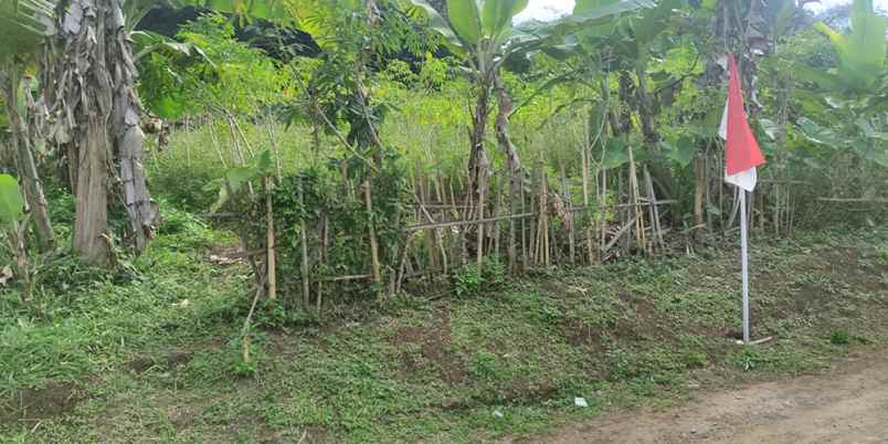 dijual tanah cileles