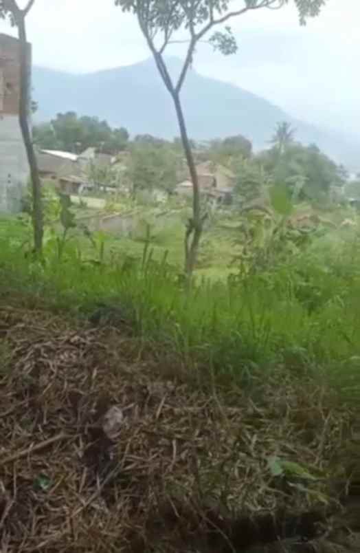 dijual tanah cipacing