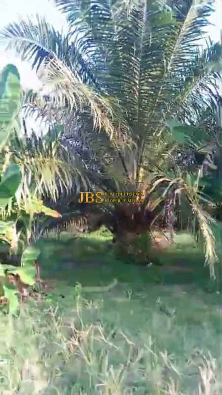 dijual tanah daerah gohor lama 13 km jl