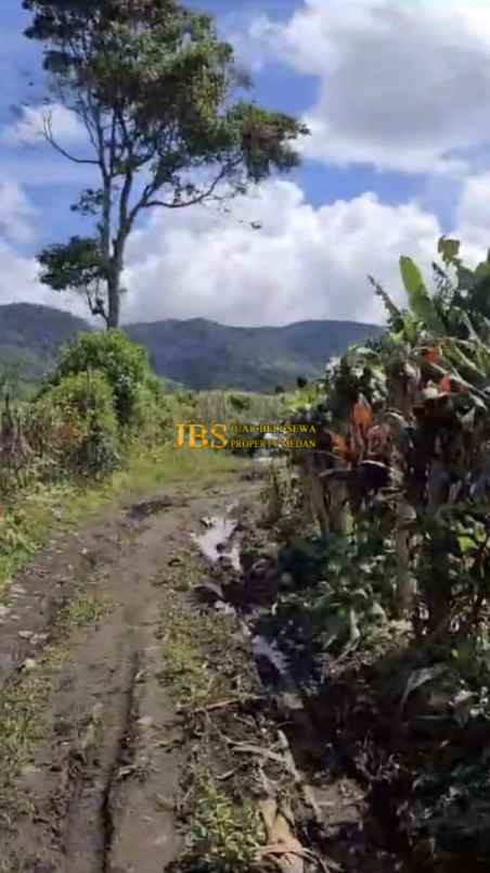 dijual tanah desa persadanta dsn ujung