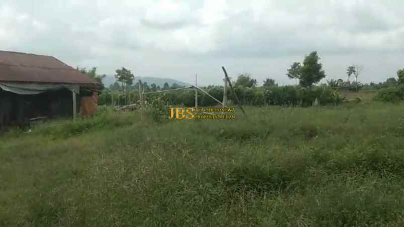 dijual tanah desa persadanta dsn ujung