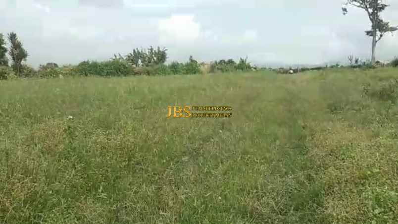 dijual tanah desa persadanta dsn ujung