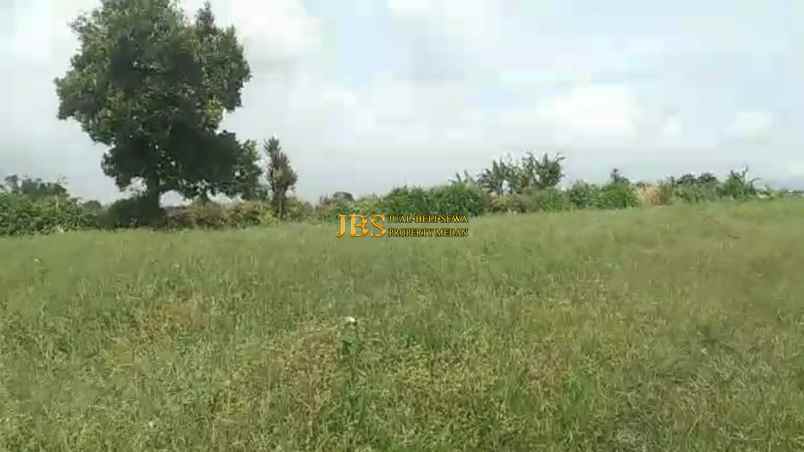 dijual tanah desa persadanta dsn ujung