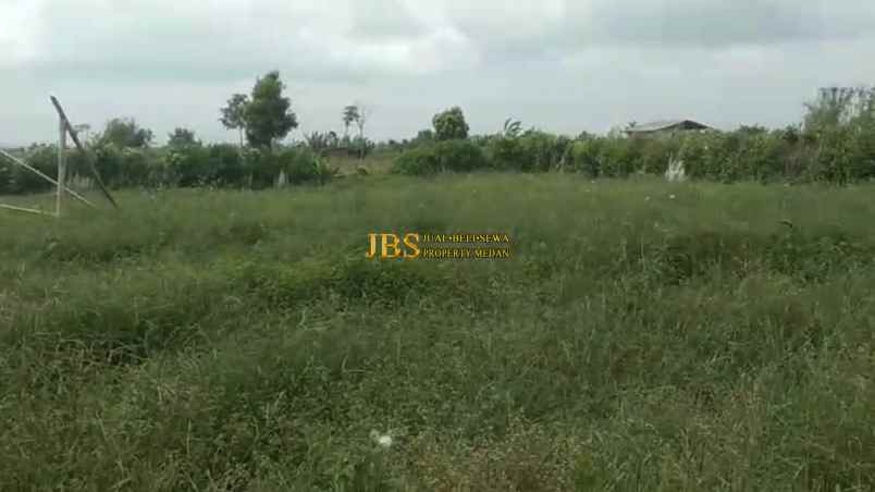 dijual tanah desa persadanta dsn ujung