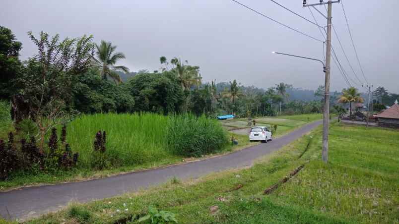 dijual tanah desa pupuan tegalallang