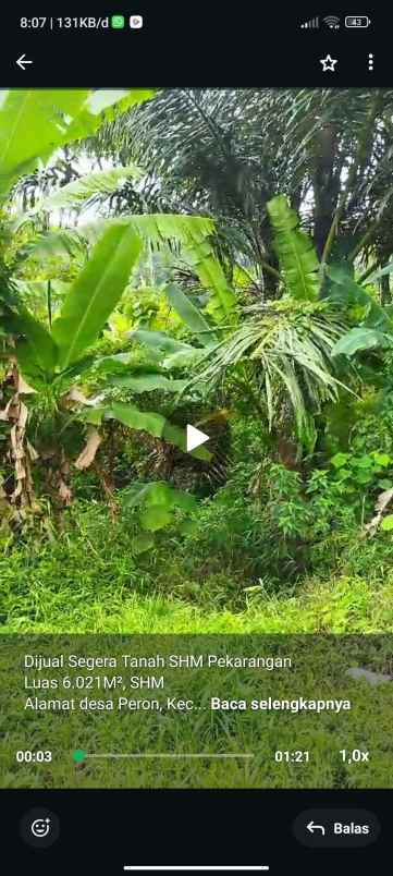 dijual tanah di desa peron limbangan kab kendal