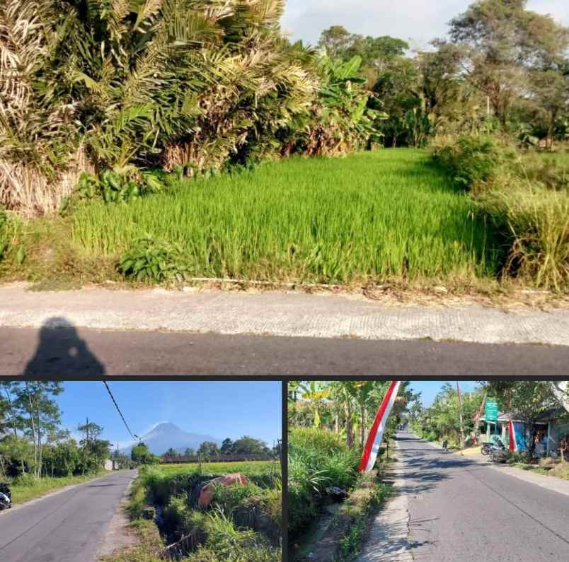 dijual tanah dijual cepat tanah sawah