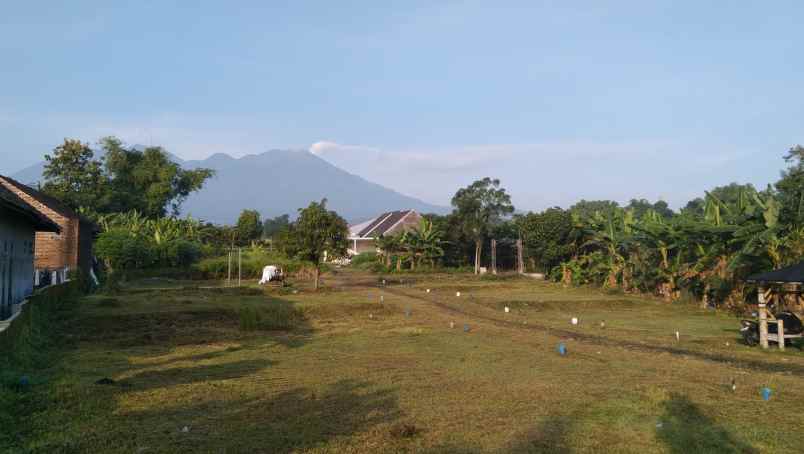dijual tanah dsn kemuning sumbersuko