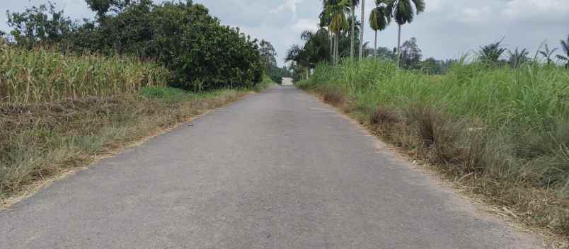 dijual tanah gedung agung jati agung