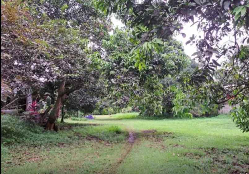 dijual tanah jalan alternatif cibubur