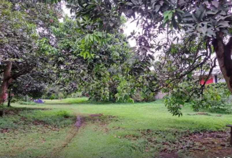 dijual tanah jalan alternatif cibubur