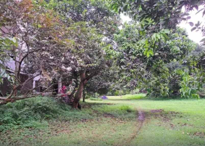 dijual tanah jalan alternatif cibubur