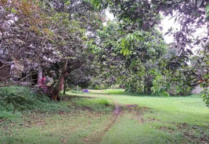 dijual tanah jalan alternatif cibubur