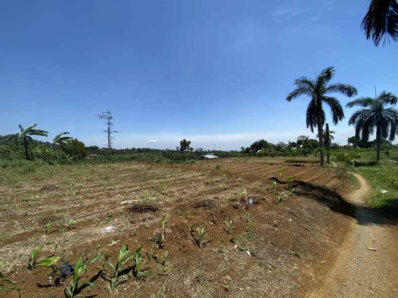 dijual tanah jalan cijeruk tajur halang