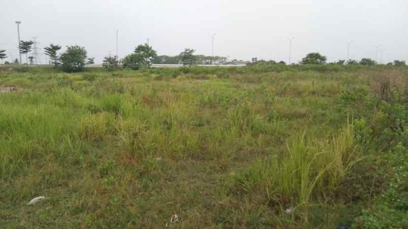 dijual tanah jalan desa srijaya