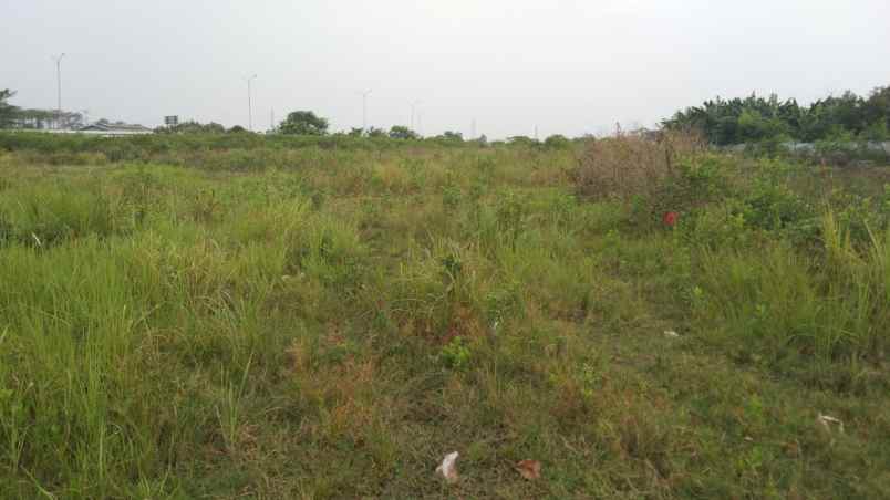 dijual tanah jalan desa srijaya