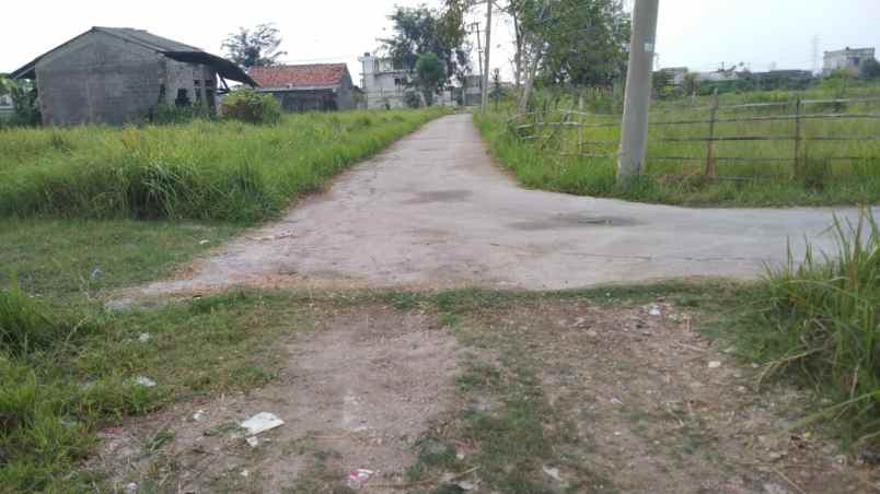 dijual tanah jalan desa srijaya