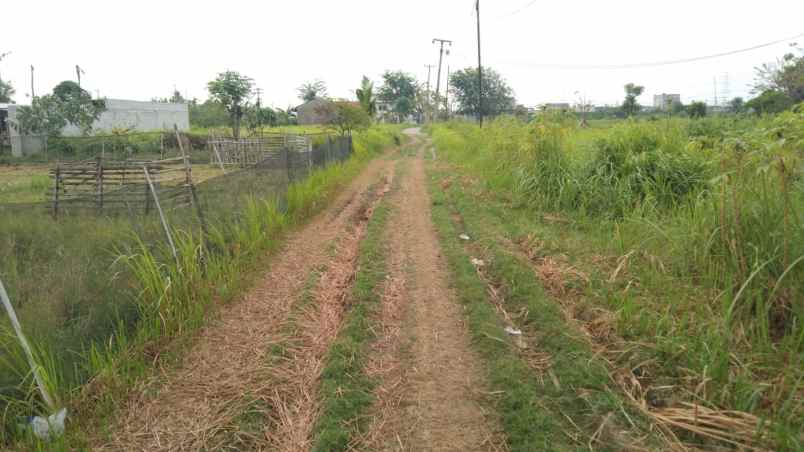 dijual tanah jalan desa srijaya