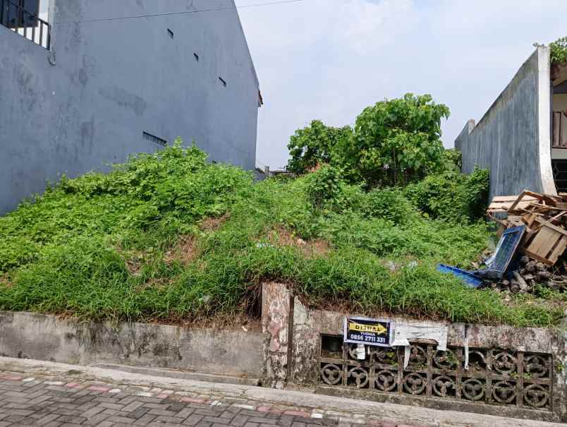 dijual tanah jalan kelinci